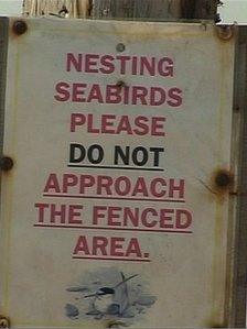 Nesting seabirds notice at Crimdon