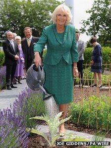 The Duchess of Cornwall planted an artichoke at Maggie's centre to mark her visit