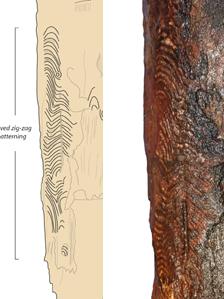 Composite image of a graphic image of the post's carving and a close up