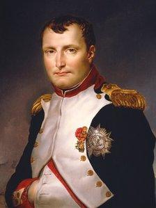 Napoleon by David