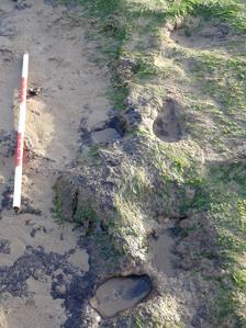 Footprints at Port Eynon