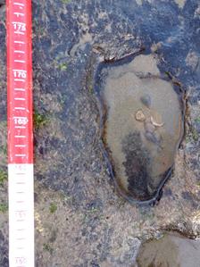 Close-up of Bronze Age footprint