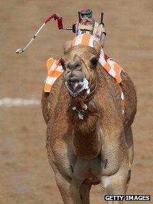 Robot camel jockey