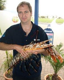 The lobster in the arms of Robbie Robinson