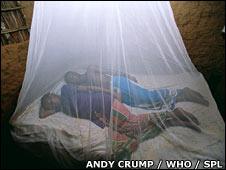 Sleeping under mosquito net