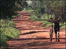 The military are still refraining from going into the woods