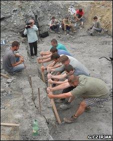 Hungarian scientists looking for fossils