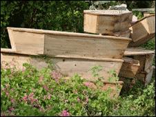 Coffins in the cemetery