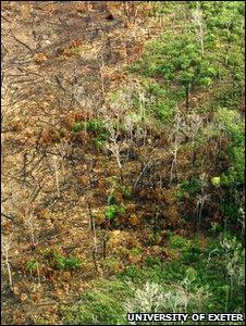 Evidence of a "fire leak" (Image: University of Exeter)