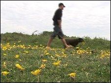 Dog walker on Braunton Burrows