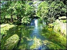 River Lambourn