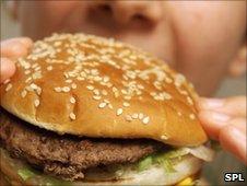 Girl eating hamburger