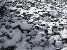 Snow on the slopes of Chalon Sombrero