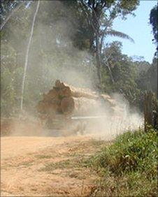 Logging lorry