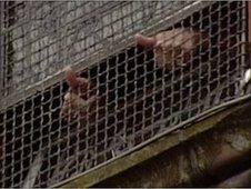 Bloody sunday relatives give thumbs up