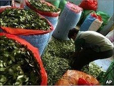 Man stuffing bags with coca leaf in Bolivia in 2007