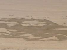 The image takes shape on the beach