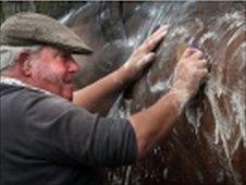 Man washing horse at Royal Highland Show