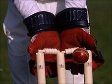 cricket stumps