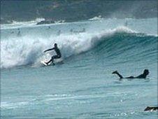 Surfers in sea