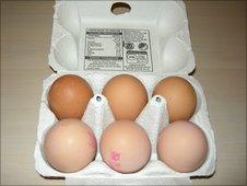 Box of eggs