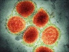 Influenza Virus