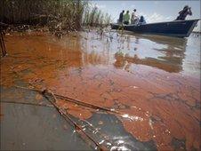 Oil in a marsh near Louisiana