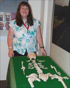 Shirley Williams with the skeleton of the Neolithic woman nicknamed Blodwen