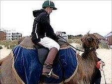 Camel polo on Sandbanks Beach