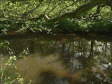 River Churnet in Leek that was polluted by chlorine