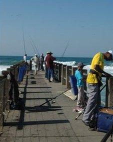 Fishermen on Snake Park pier, Durban beach front