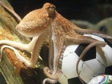 File photograph of Paul the psychic octopus