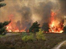 Fire at Frensham Common