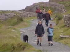 Walkers on Miners track