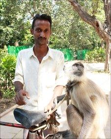 Langur monkeys drafted in to protect Commonwealth Games venues and visiting foreign tourists from smaller stray monkeys