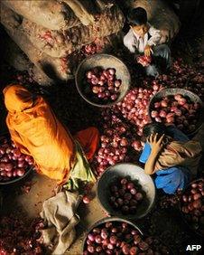 Sorting onions at a vegetable market in Delhi on February 2007