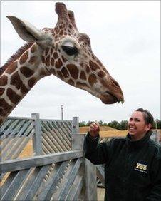 Zoo keeper with giraffe