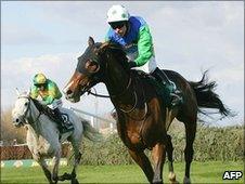 Comply Or Die at the 2008 Grand National