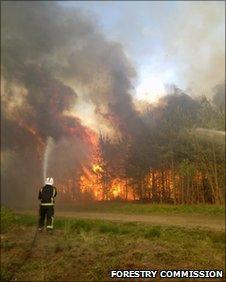 Swinley Forest Fire