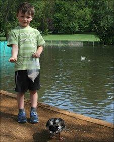 Boy feeding ducks in Priory Park