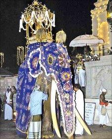 File photo of Millangoda Raja at the Kandy festival