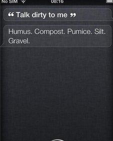 Screen of Siri question