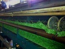 Machine making plastic turf