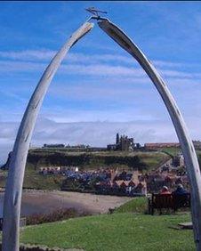 The new bones forming the arch on West Cliff (photo taken by Nick Fletcher)