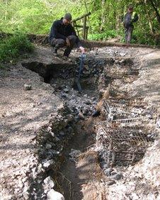 Damaged footpath at Wepre Park