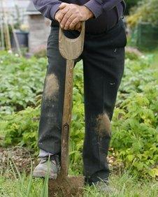 A man gardening