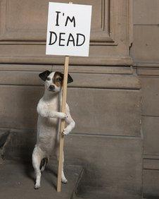 I'm Dead, 2010 by David Shrigley