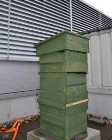 The roof of the St Enoch Centre has just one hive so far