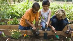 Children plot Chelsea Flower Show takeover