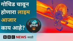 गोष्ट दुनियेची पॉडकास्ट :  माणसाला गोचिड चावल्यानं होणारा लाइम रोग काय आहे?